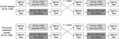 <mark class="highlighted">Behavioral Differences</mark> Across Theta Burst Stimulation Protocols. A Study on the Sense of Agency in Healthy Humans